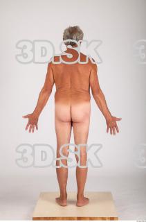 Body texture of Augustyn 0005